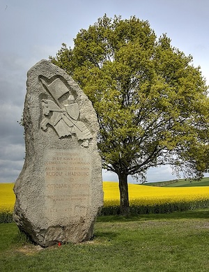 Přemysl Otakar II. pomník